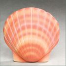 The Shell<BR>Deep Water Bio Urn