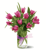 10 Pink Tulips 10 Pink Tulips