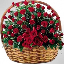 100 Roses