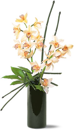 Artful Orchids