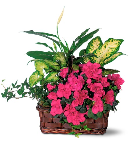 Azalea Attraction Garden Basket