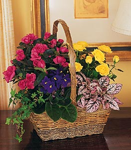 blooming garden basket 