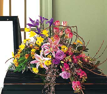 Eternal spring half-couch spray 