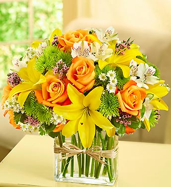 Fields of Europe in Rectangle Vase