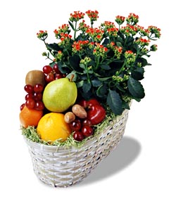  Fruits & Flowers