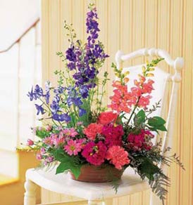 garden fresh blooms 