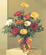 Gerbera Daisies