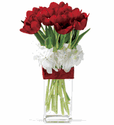 Graceful Tulips