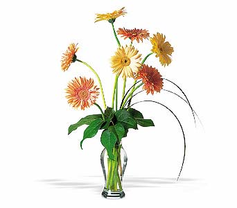 grand gerberas 