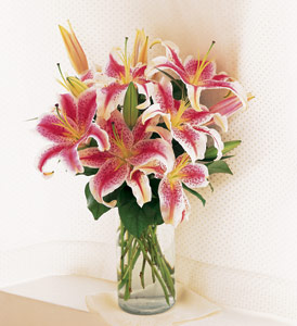 Lovely Lilies