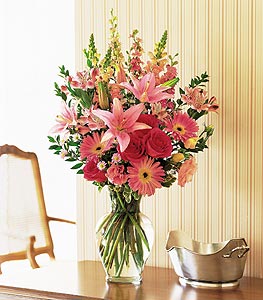 marvelous pinks 