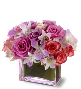 Orchid & Roses