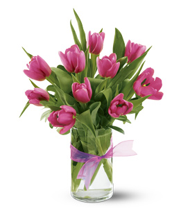 Precious Hot Pink Tulips
