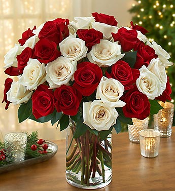 Three dozen Peppermint Rose Bouquet 