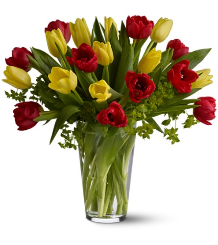 Tulip Delight