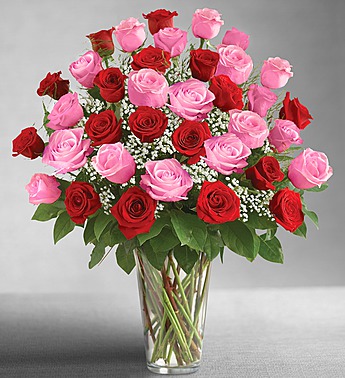 Ultimate Elegance Long Stem Pink & Red Roses