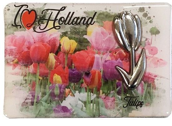 &quot;I Love Holland&quot; Magnet with Tulip Accent