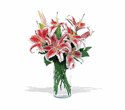 Flowers Delivery Dallas