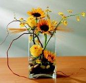 Gift Of Fall - Designs East Florist Dallas