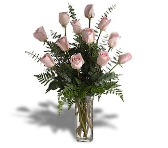 Passionately Pink Roses