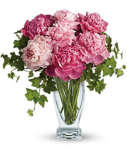 Perfect Peonies