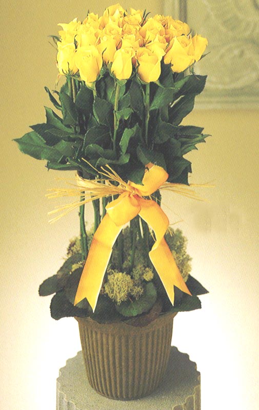 Flowers Delivery Near Sparkman Hillcrest Funeral Home 7405 Nw Hwy