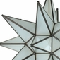 20 Inch Completely Frosted Glass Star Fixture