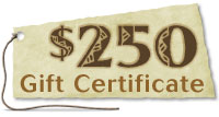 $250 Gift Certificate