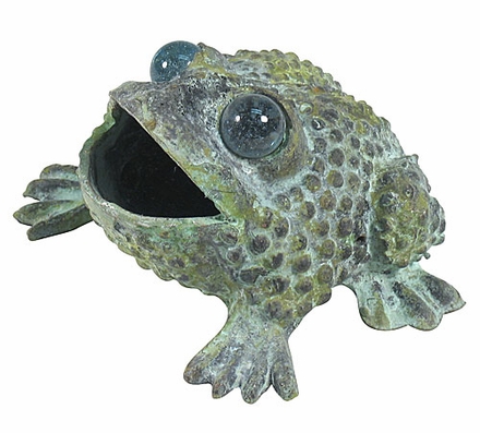 Bronze Croaking Toad