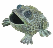Bronze Croaking Toad