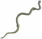 Bronze Patina Snake Drawer Pull - Set of 2