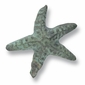 Bronze Starfish Drawer Pull - Set of 2