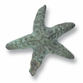 Bronze Starfish Drawer Pull - Set of 2