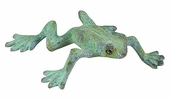 Bronze Tree Frog