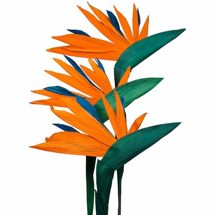 Corn Husk Bird of Paradise - Bouquet of 6