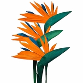 Corn Husk Bird of Paradise - Bouquet of 6