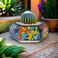 Hexagonal Talavera Planter