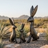 Jackrabbits Metal Yard Sculptures  - Set of 3