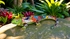 Large Talavera Iguana