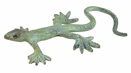 Medium Bronze Salamander