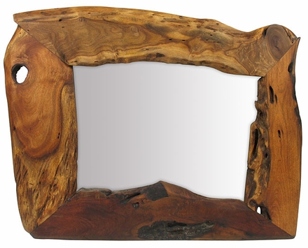 Mesquite Free Form Mirror