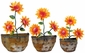Metal Wall Hanging Planter with Sunflowers