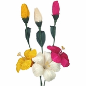 Mexican Corn Husk Hibiscus - Set of 6