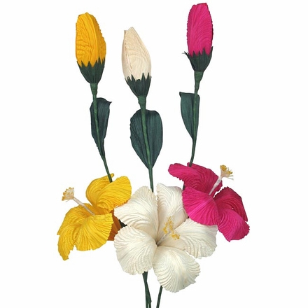 Mexican Corn Husk Hibiscus - Set of 6