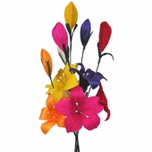 Mexican Corn Husk Lilies with Buds - Set of 6