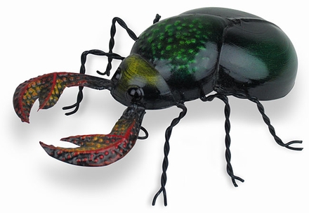 Mexican Painted Tin Beetle