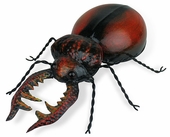 Mexican Painted Tin Goliath Beetle