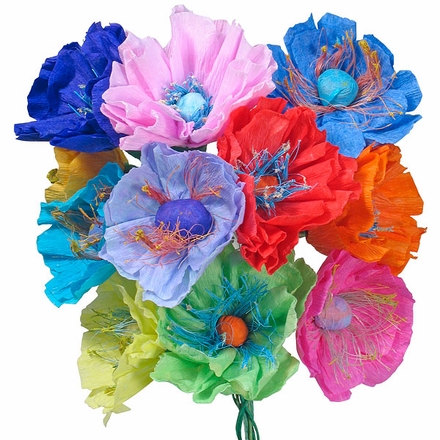 Mexican Paper Poppies - Set of 12