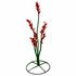 Painted Ocotillo Yard Art Sculptures - Three Sizes Available