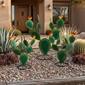 Set of 3 Painted Metal Prickly Pear Cactus Sculptures - Green